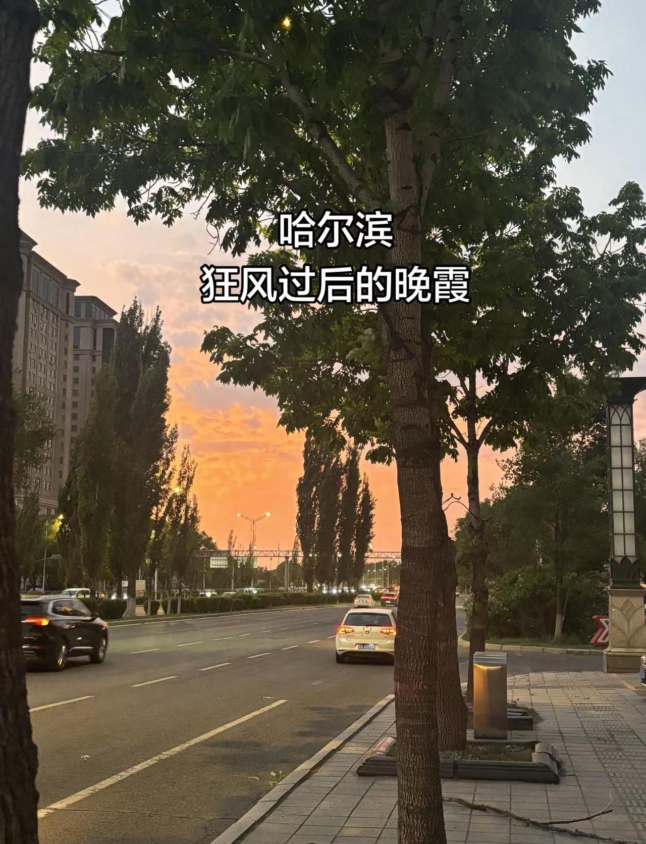哈尔滨狂风过后竟然还有晚霞今天的大风把这座城市摧残了