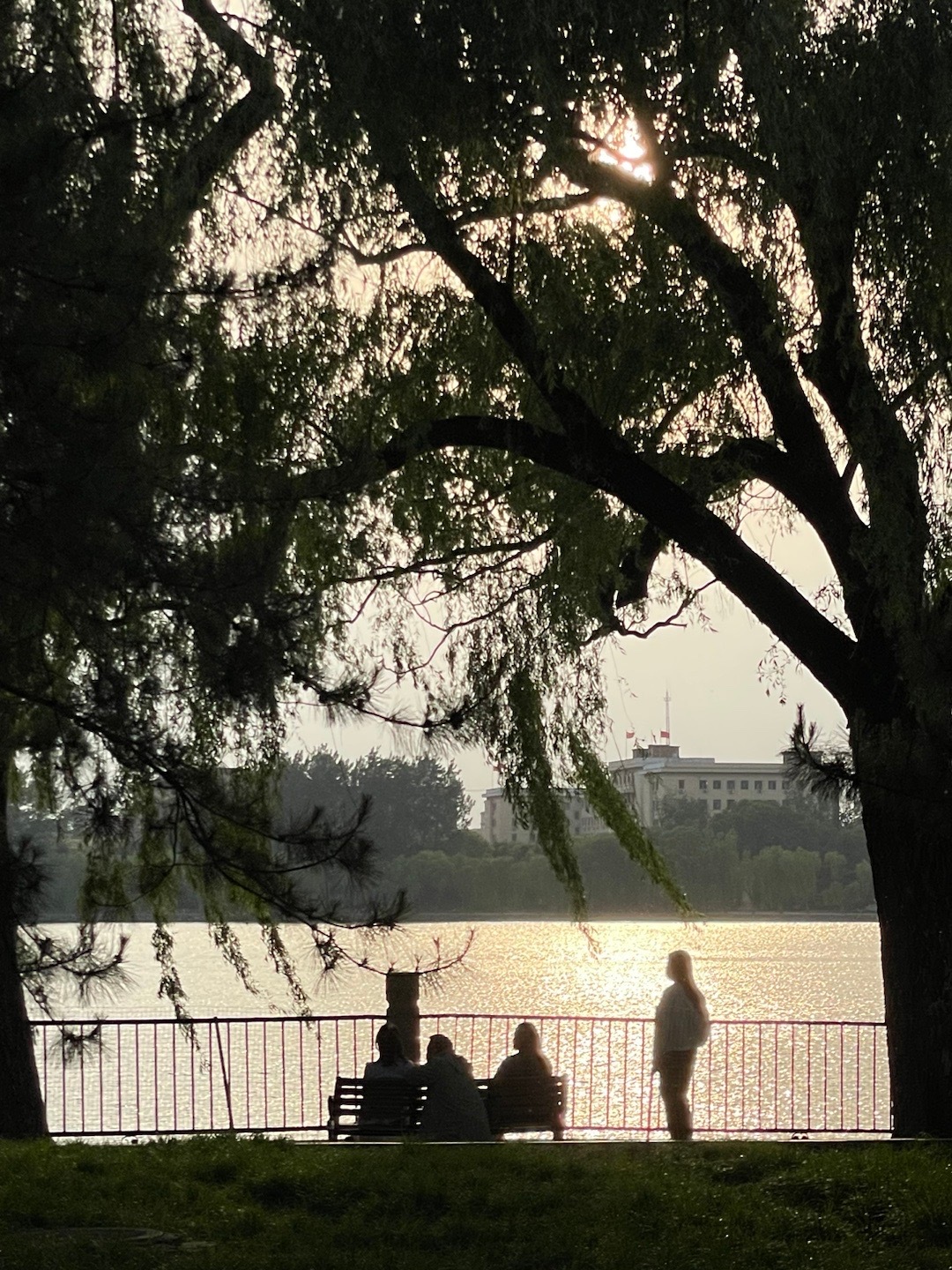 喜欢北京城市里宽宽浅浅的河道，两侧飘着柳树，从西城流到东城，从清晨淌到夜晚。北海