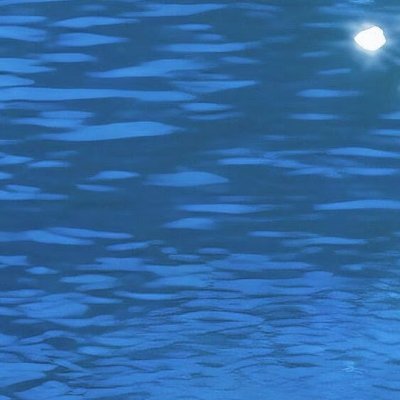 阳光信用 🌿每日一善 🌿阳光信用 克服惰性和游离的心绪，投入理性而自律的生活