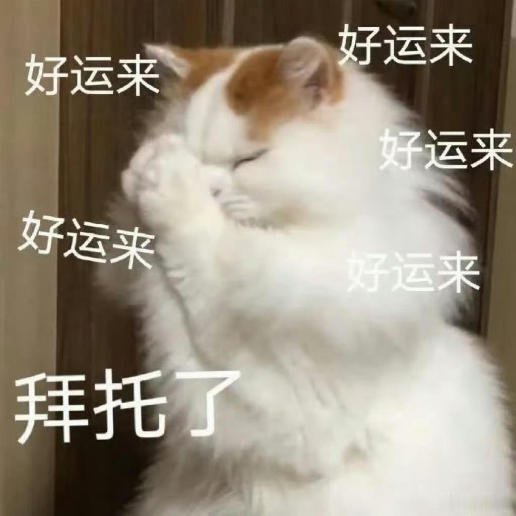 只要有人的地方就有中国人走到国外总能遇上同乡，彼此分享游玩心得，互相提点让旅途顺