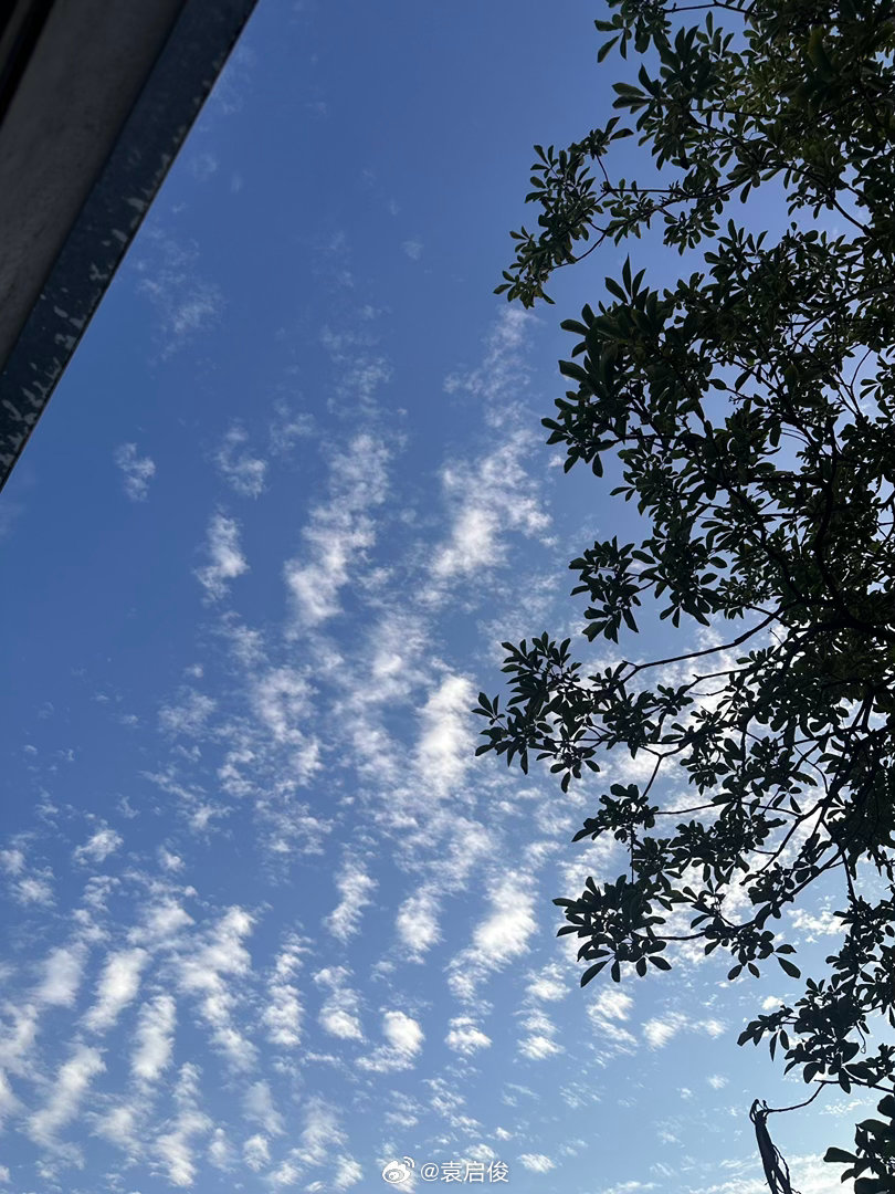 真美的天