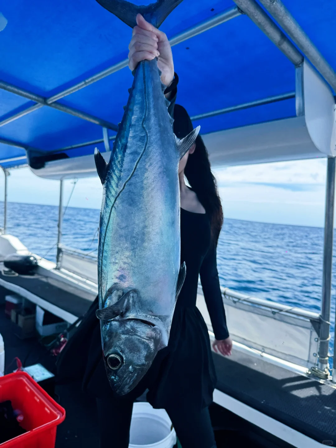 美少女钓鱼 愿者上钩 哈哈哈哈哈哈🎣