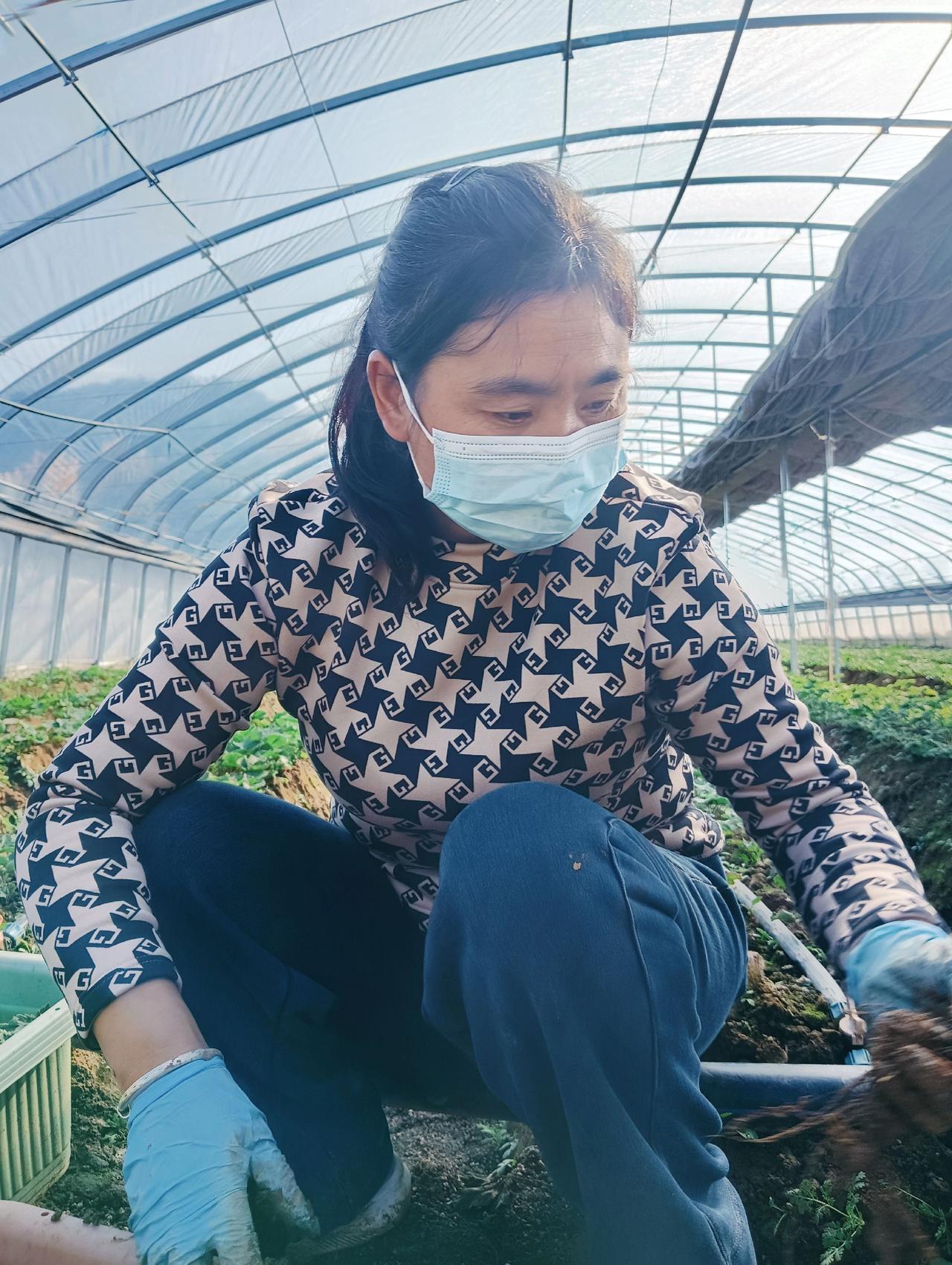 高高兴兴种，快快乐乐收。