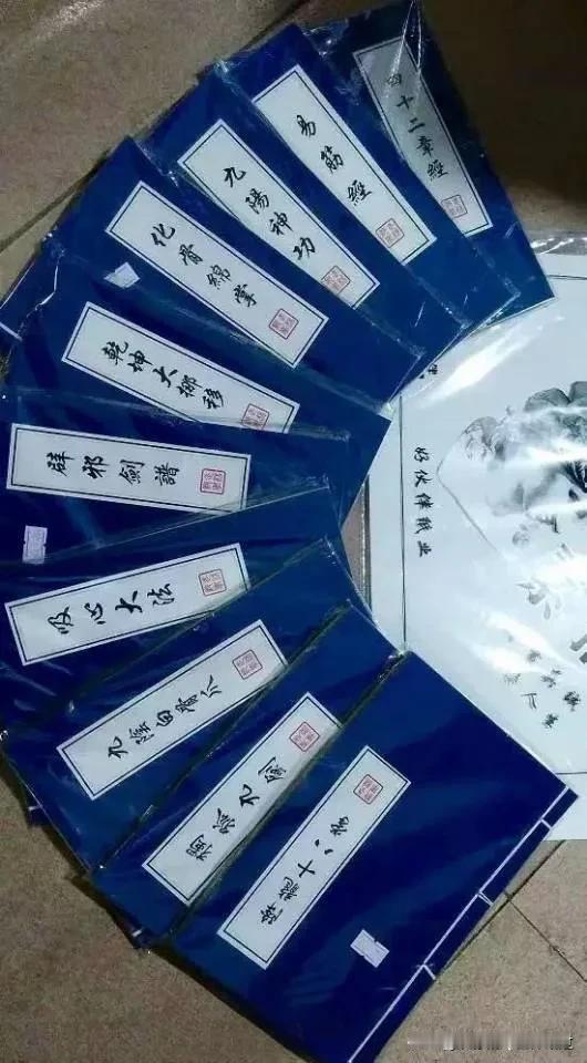 把这些武功都练成不就是天下无敌吗