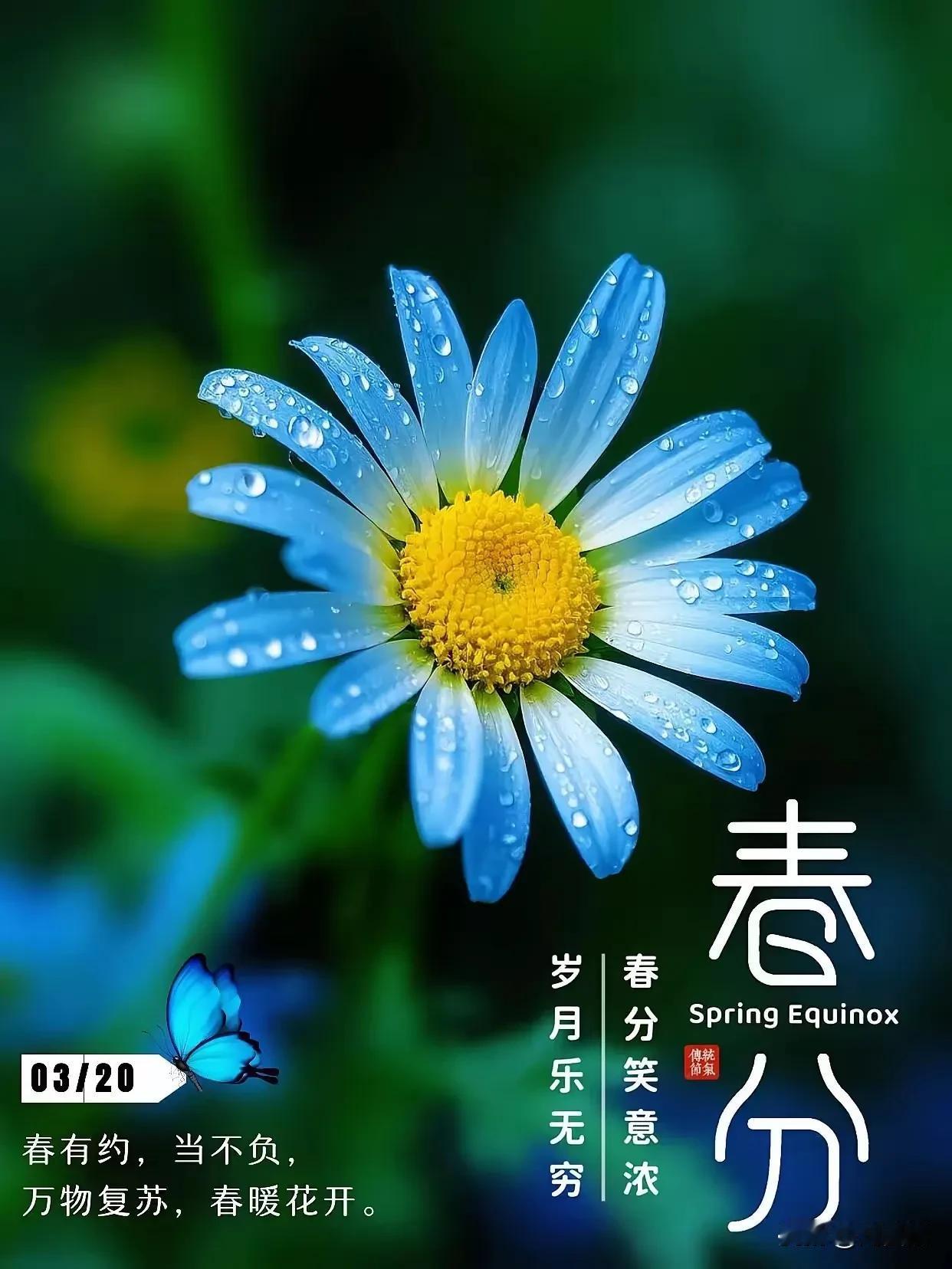 七律.重读《七律.有所思》有怀
（2025年3月21日）
暮春再谒旧诗碑，烟雨江