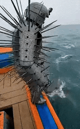 有了这铠甲鲨鱼都是弟弟～[震惊]