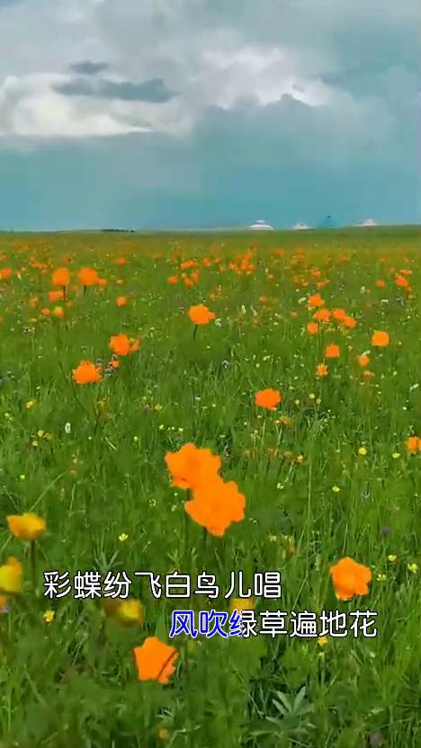 美丽的草原我的家。
风吹绿草遍地花，彩蝶纷飞白鸟儿唱。一弯碧水映晚霞，骏马好似彩