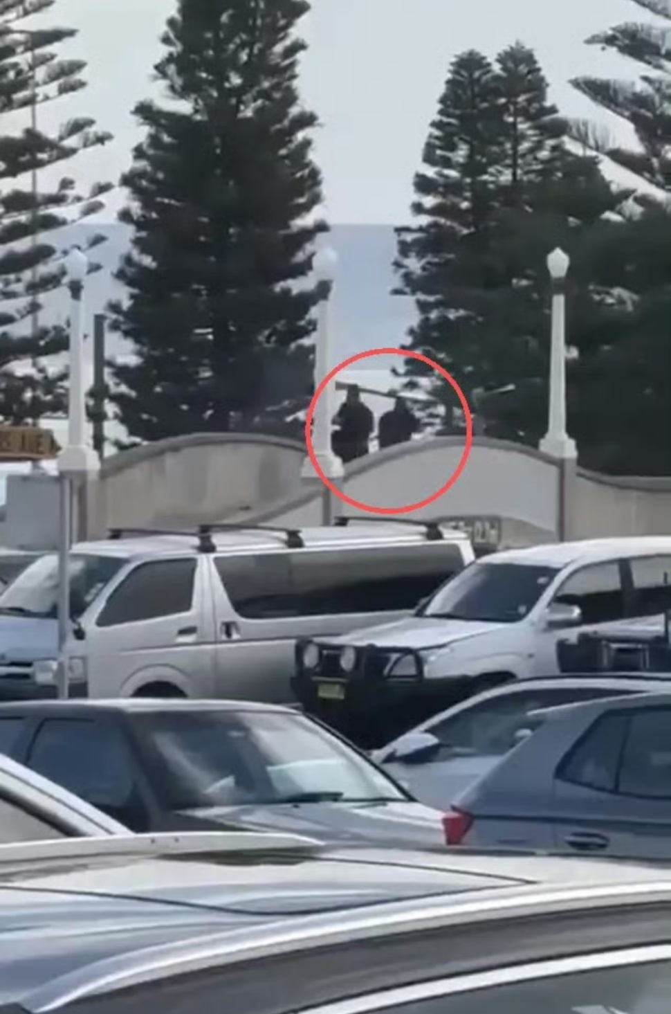 以总统称悉尼枪击案是反犹恐怖袭击悉尼枪击案被定性为反犹恐怖袭击，警示着隐蔽与显性