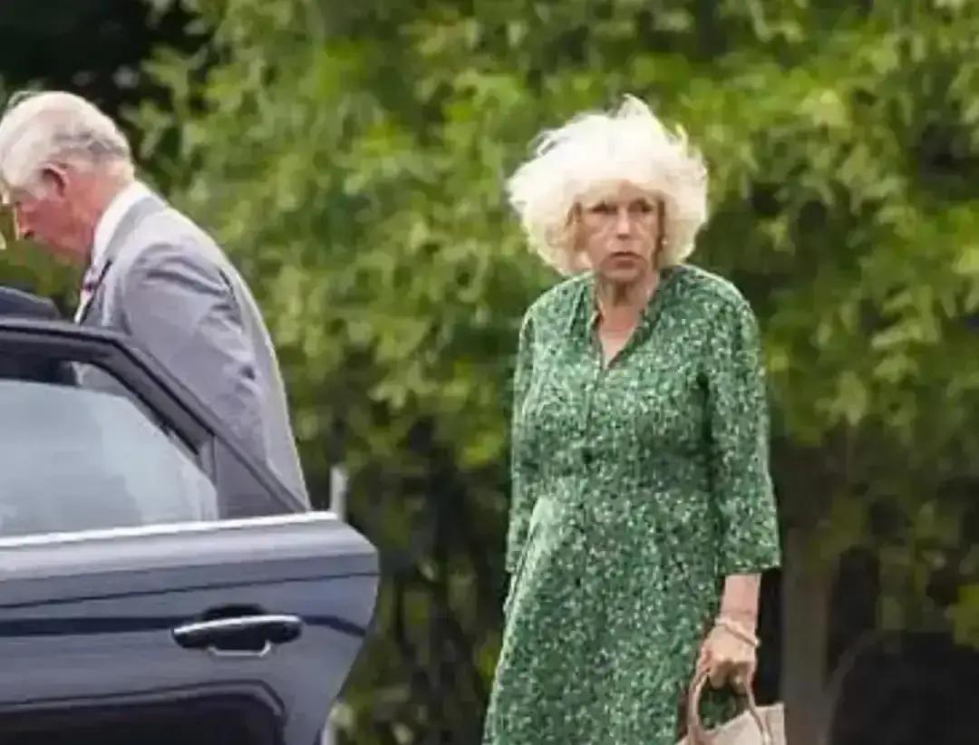 卡米拉这回学乖了。
 
以前一出场就挂满钻石，闪得人眼疼，网友骂她暴发户，顺便把