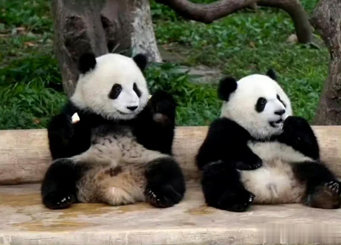 渝爱，你原来是男孩呀！我觉得也是，肯定又弄错了，渝可是女孩，你是男孩。

以前有