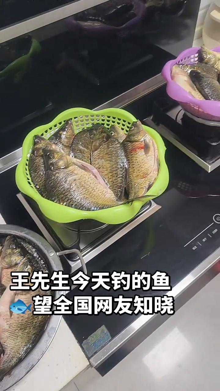王先生今天钓的鱼，望全国网友知晓。