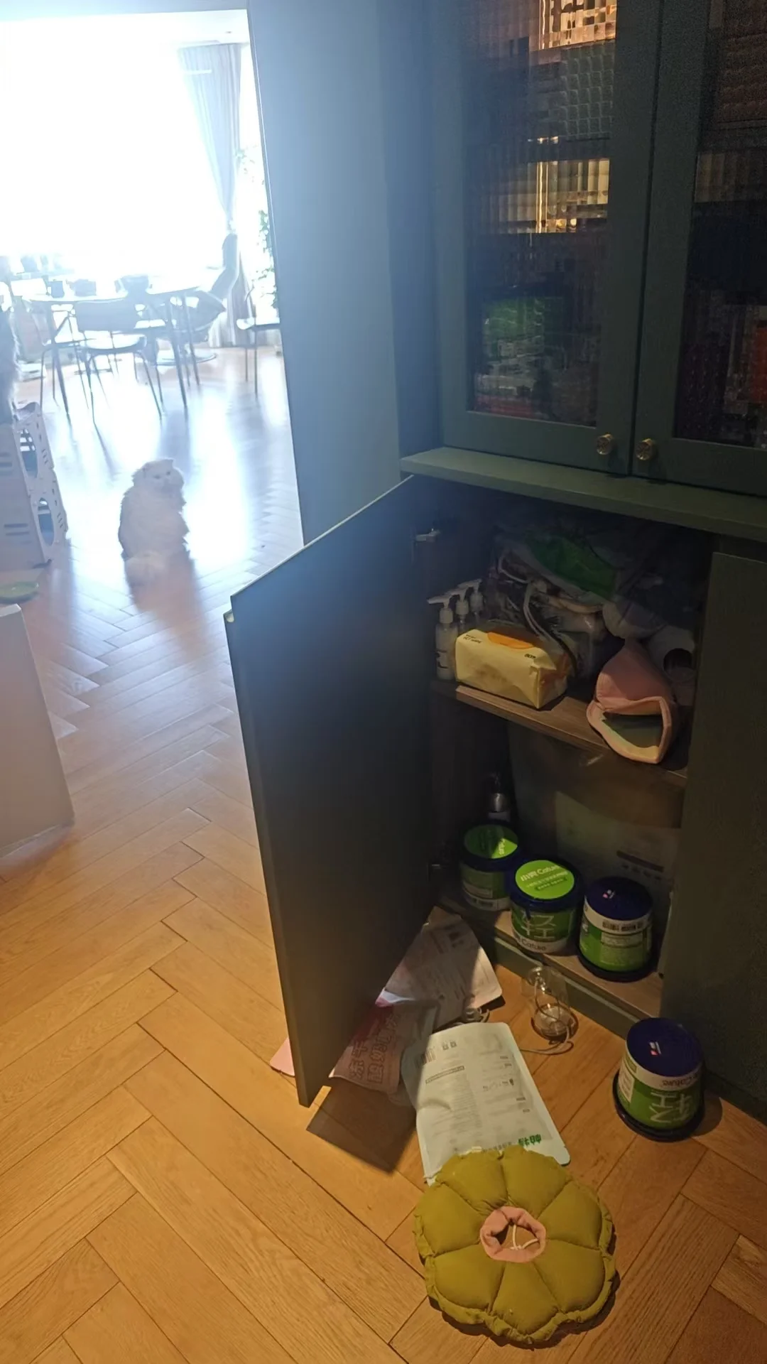 看图写故事｜猫赃并获
