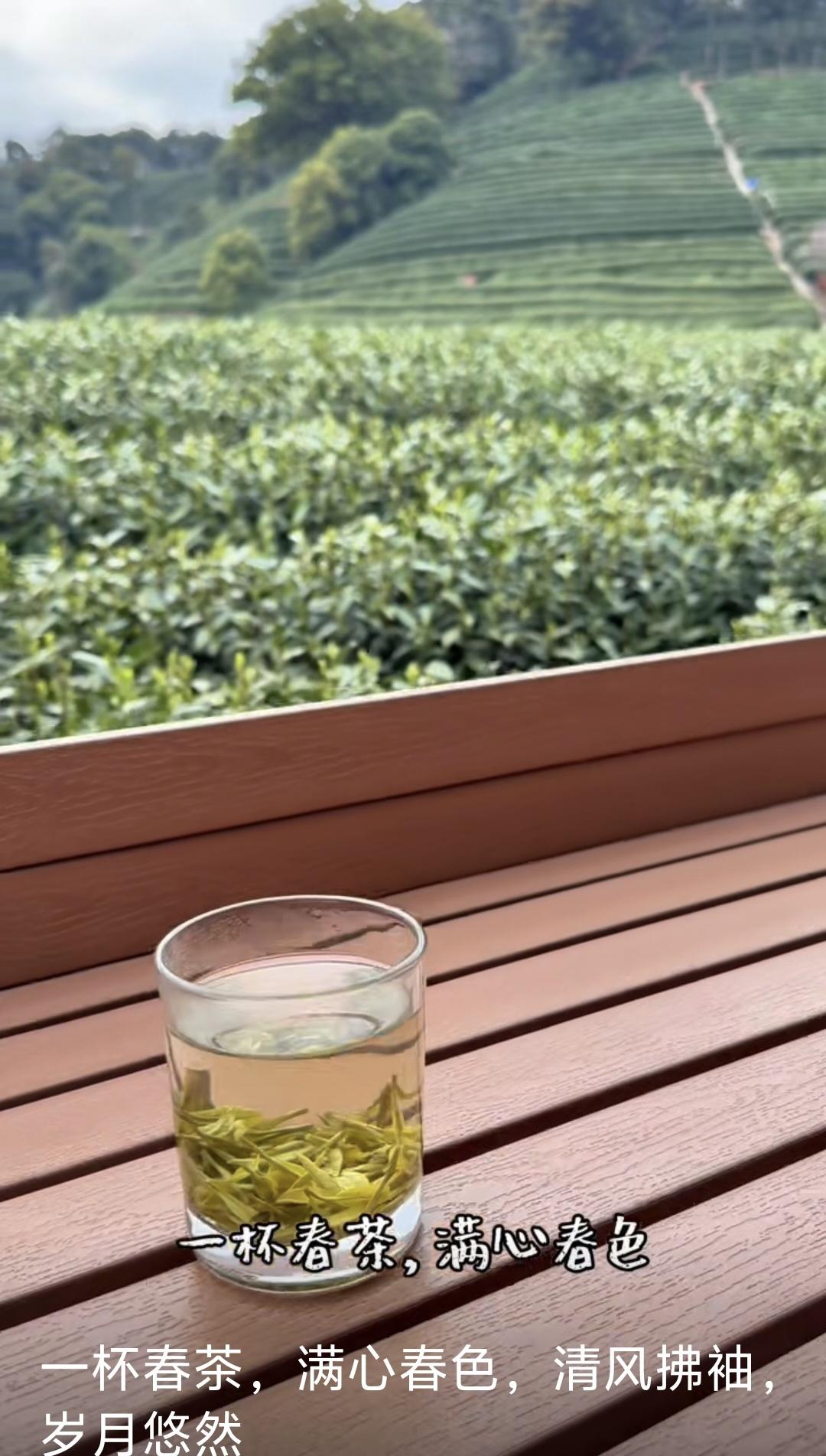 想起明前茶的口中生津？想起西湖龙井？请来云春茶社，一边品茗，一边听中国茶事故事。