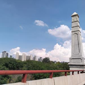 落叶有情