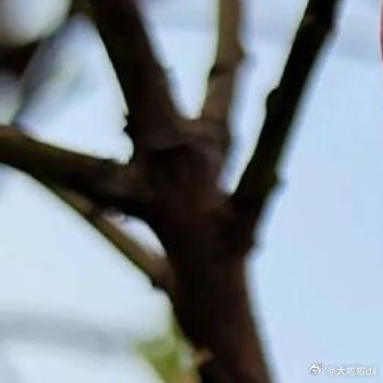 金色童年，你们是收获成长的少年；和谐校园，你们是含苞欲放的花蕾。六一儿童节快到了