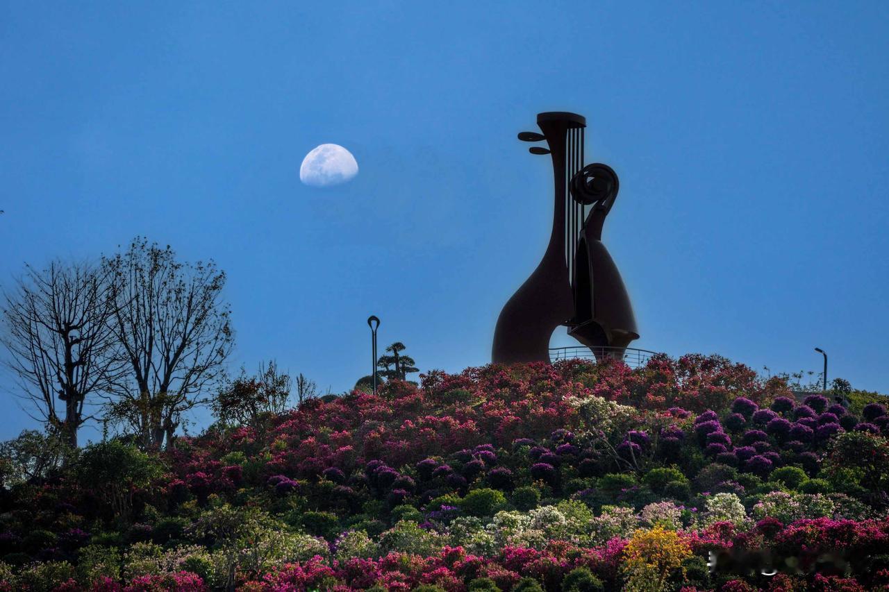 深圳馆园并立、艺景相融的新地标
【诗与景】咏坂田艺馆·琴园
龙岗国际艺术中心楼顶