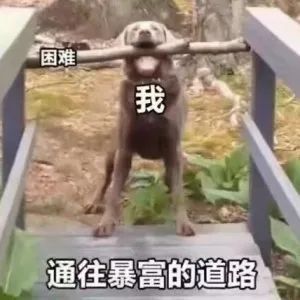 江浙沪小县城工资崩塌了皇上到底是赏了银子的，说是要赈济苍生呢。🧧可惜啊，银子刚