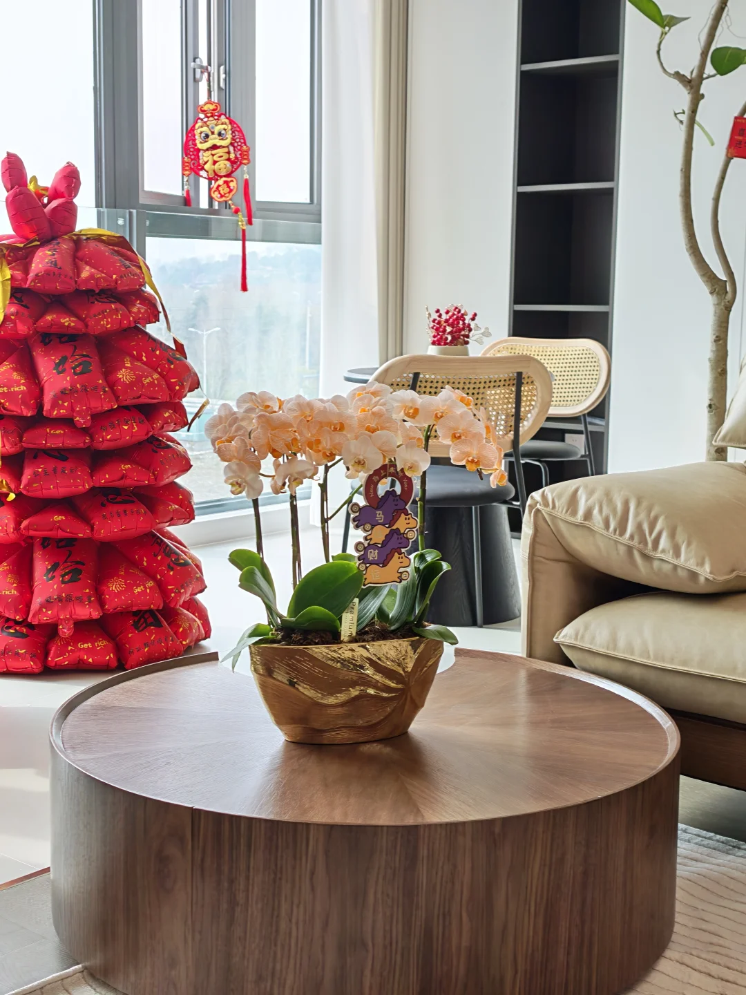 滨湖新居的年宵花真好看