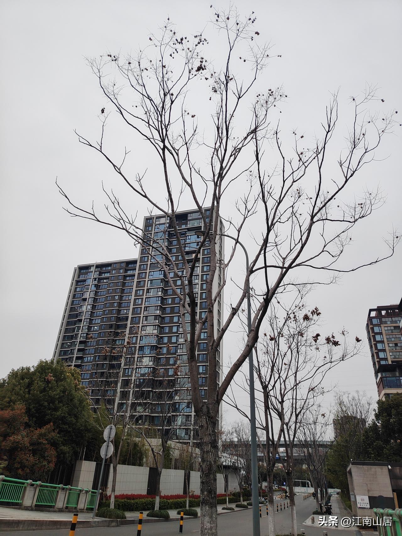 部分处于创业阶段，或者起步阶段的老板，挺喜欢说：“公司养了多少员工，多少家庭。”