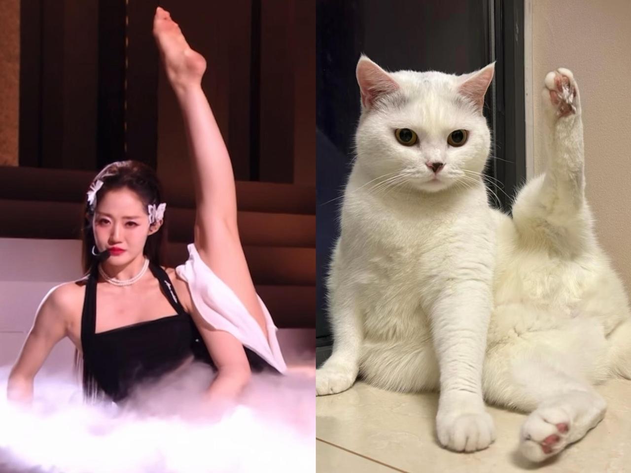 果然，人类的一切灵感都是有迹可循的！[捂脸]