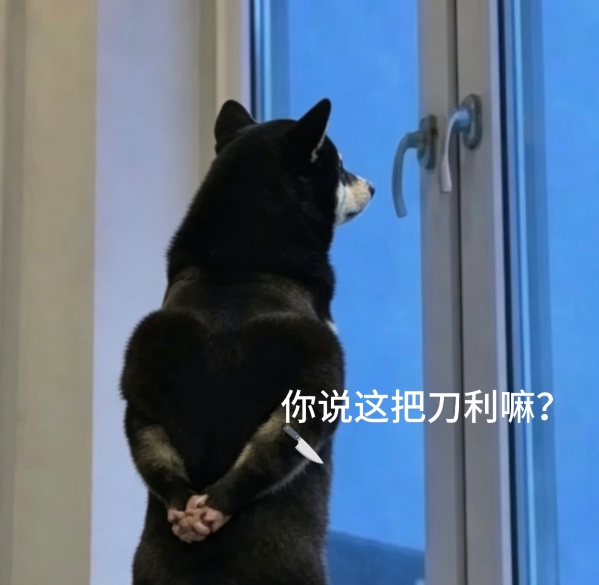 分享图片 
