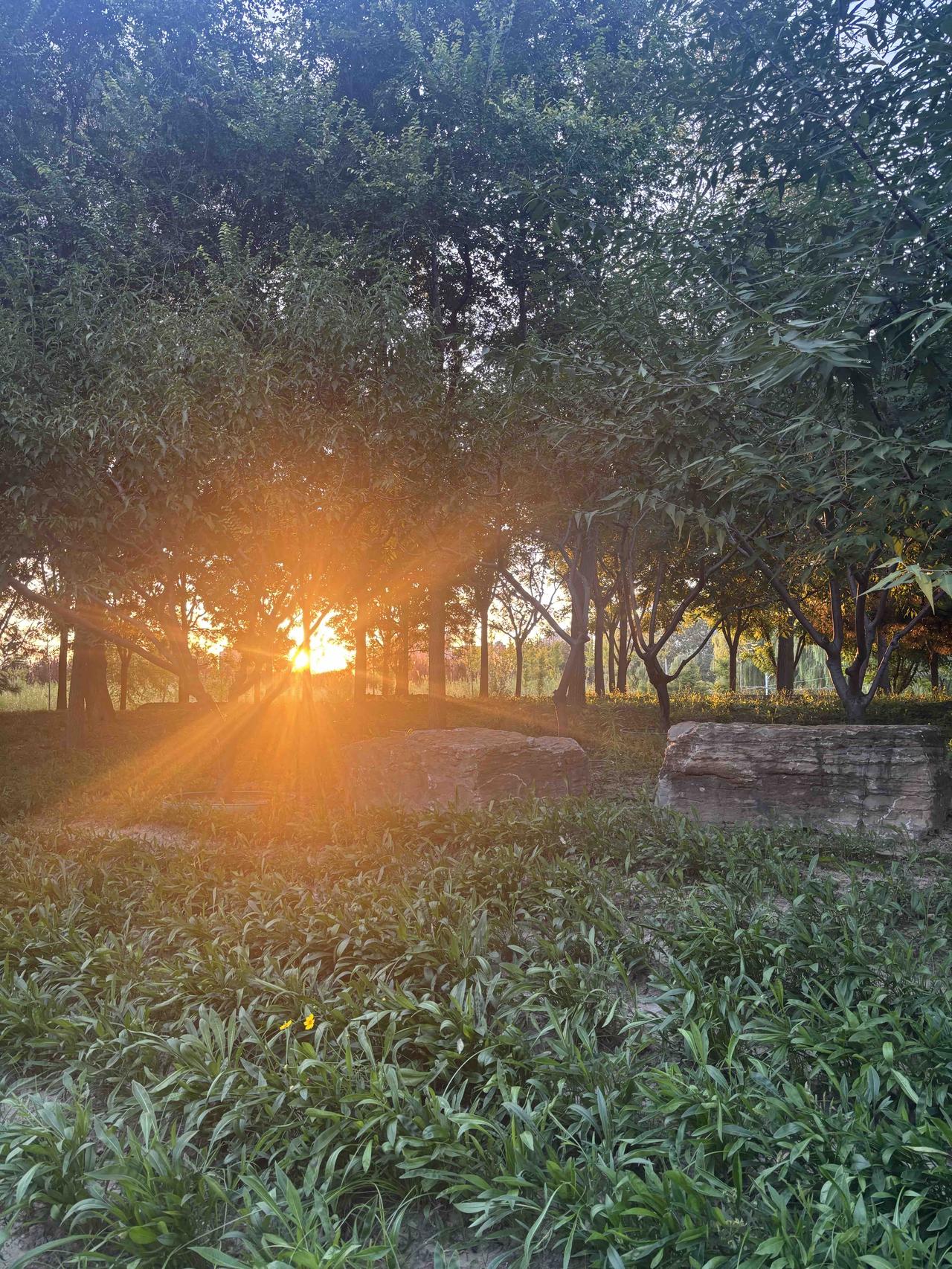 进入金秋时节，夕阳也是如同熔金一般绚丽多彩，在有些场合挥洒的金芒真是美不胜收。