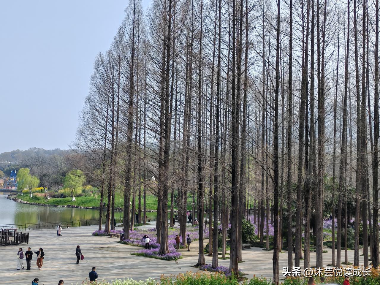 人到老年，真正的福气，其实就这4句话
 
人老了才明白，
这辈子过得好不好，
根