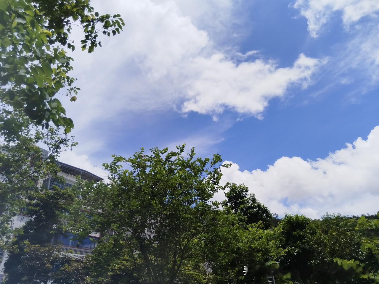 夏日入伏高温预防热射病：健康养生未病先防的智慧共鸣

夏至已过，三伏天如约而至。