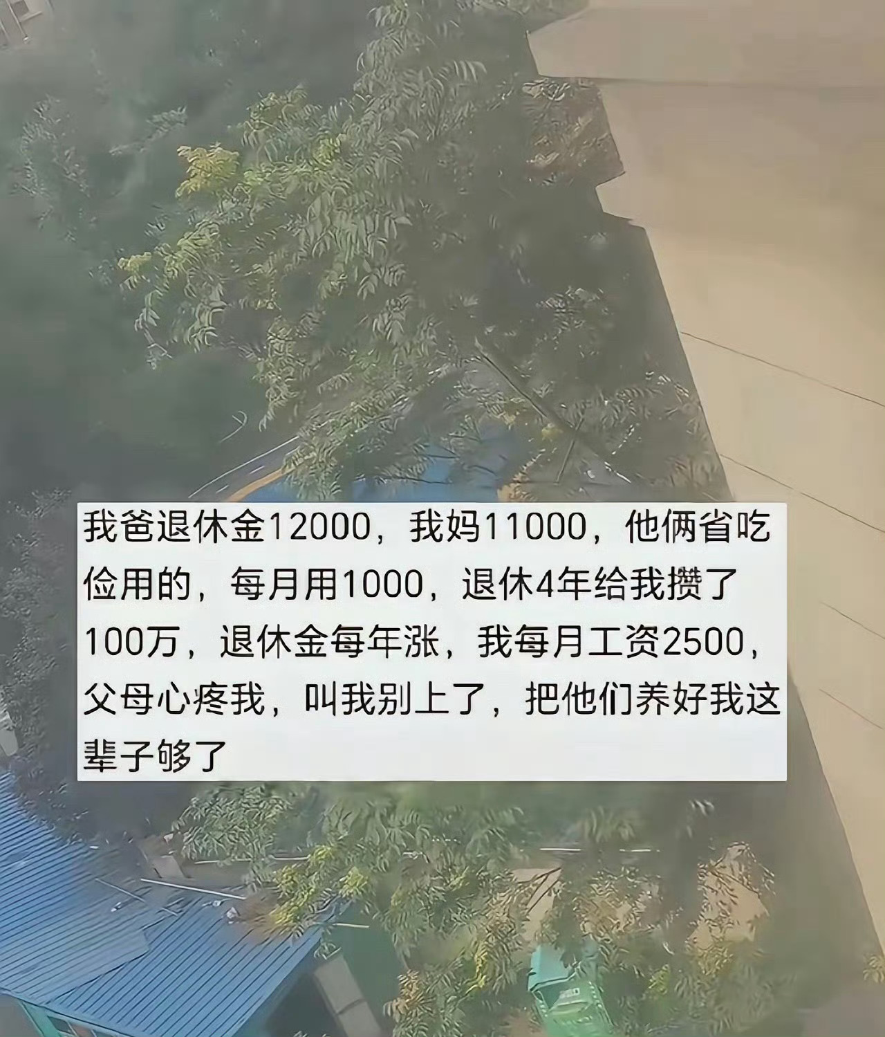 把他们养好我这辈子夠了 