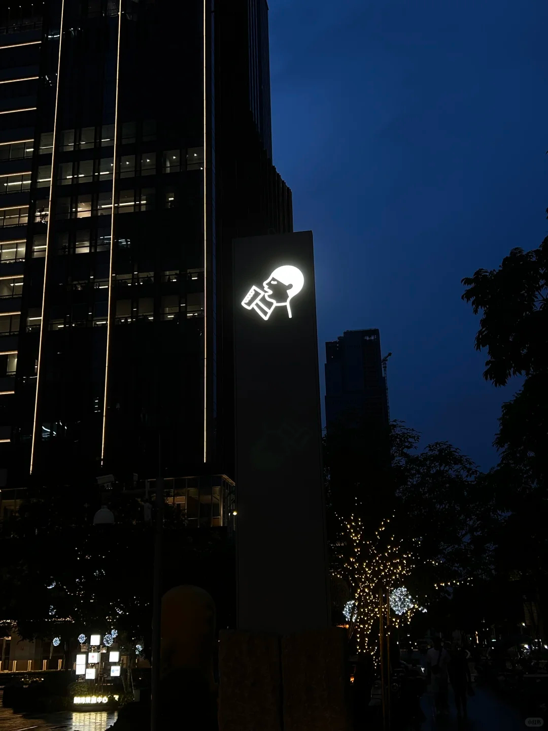 iPhone调色｜雨天忧郁感调色重逢在深圳的街头你望左我望右－曝光：-10鲜明度