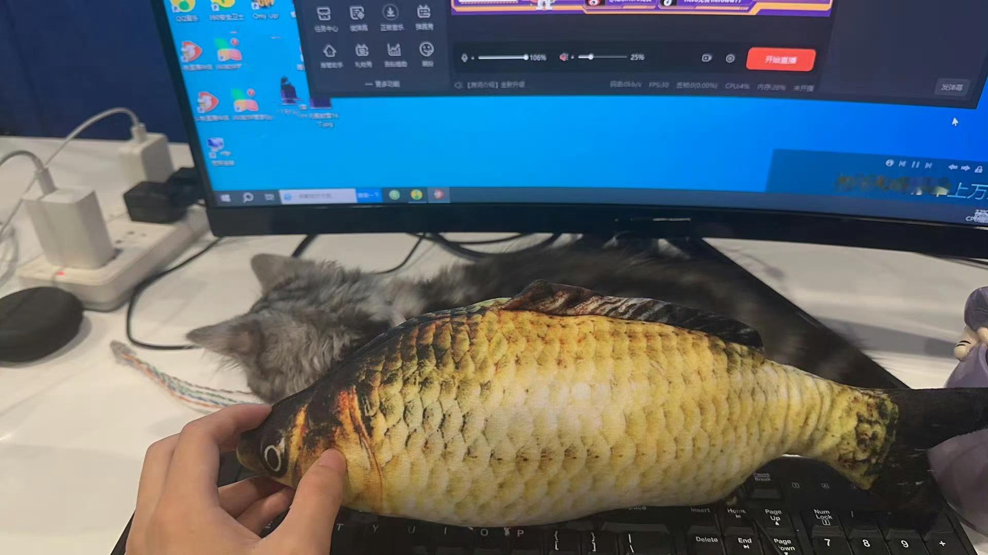 论发财小猫如何变成大卡车的成长历险记 无畏的猫真的太太太大了