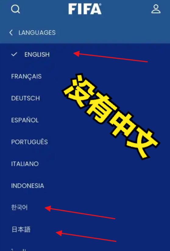 8 种语言官宣上线！唯独删掉中文！

这不是技术故障，而是国际足联对中国市场赤裸