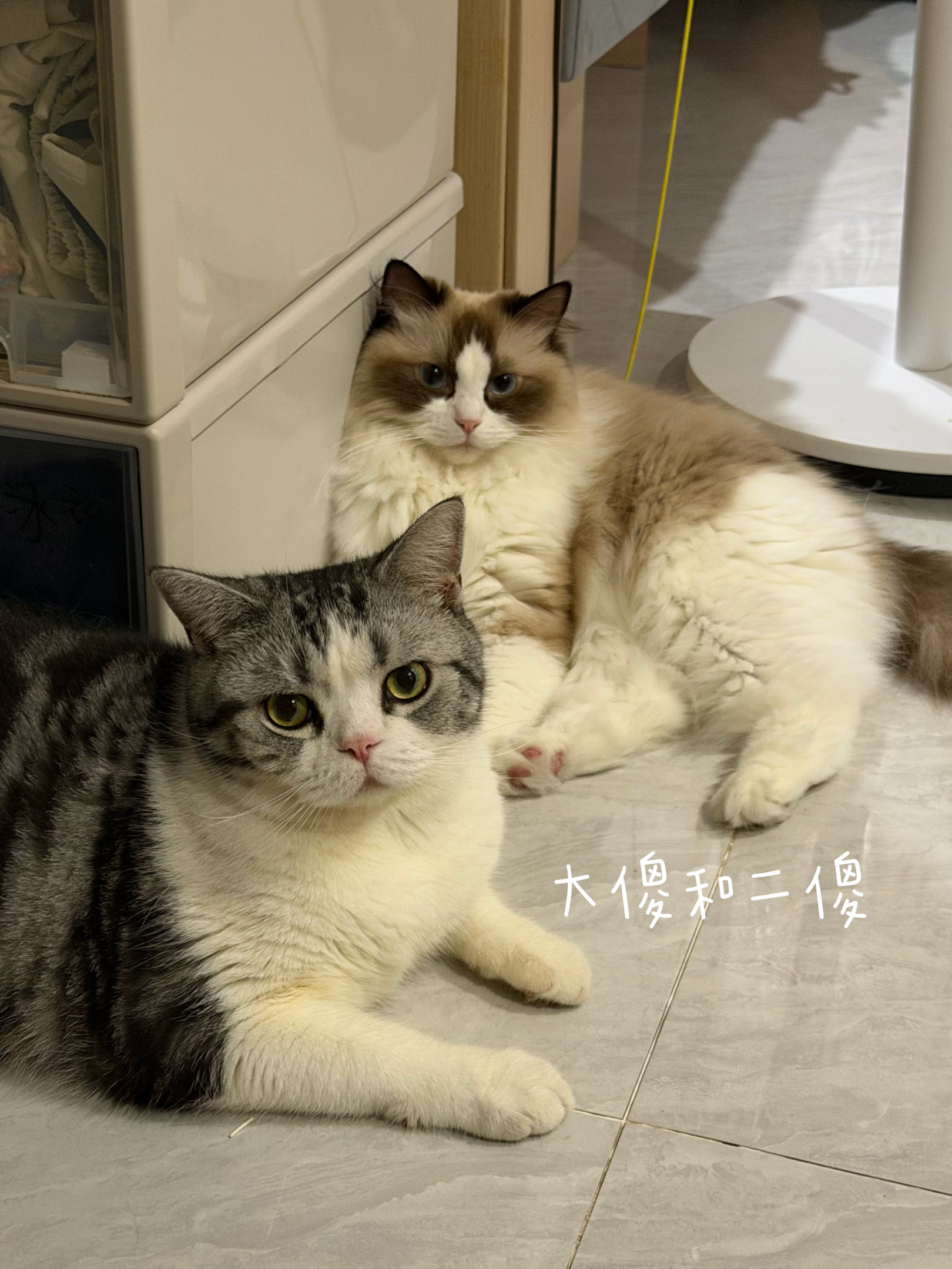 拼拼凑凑又是一组日常 深圳