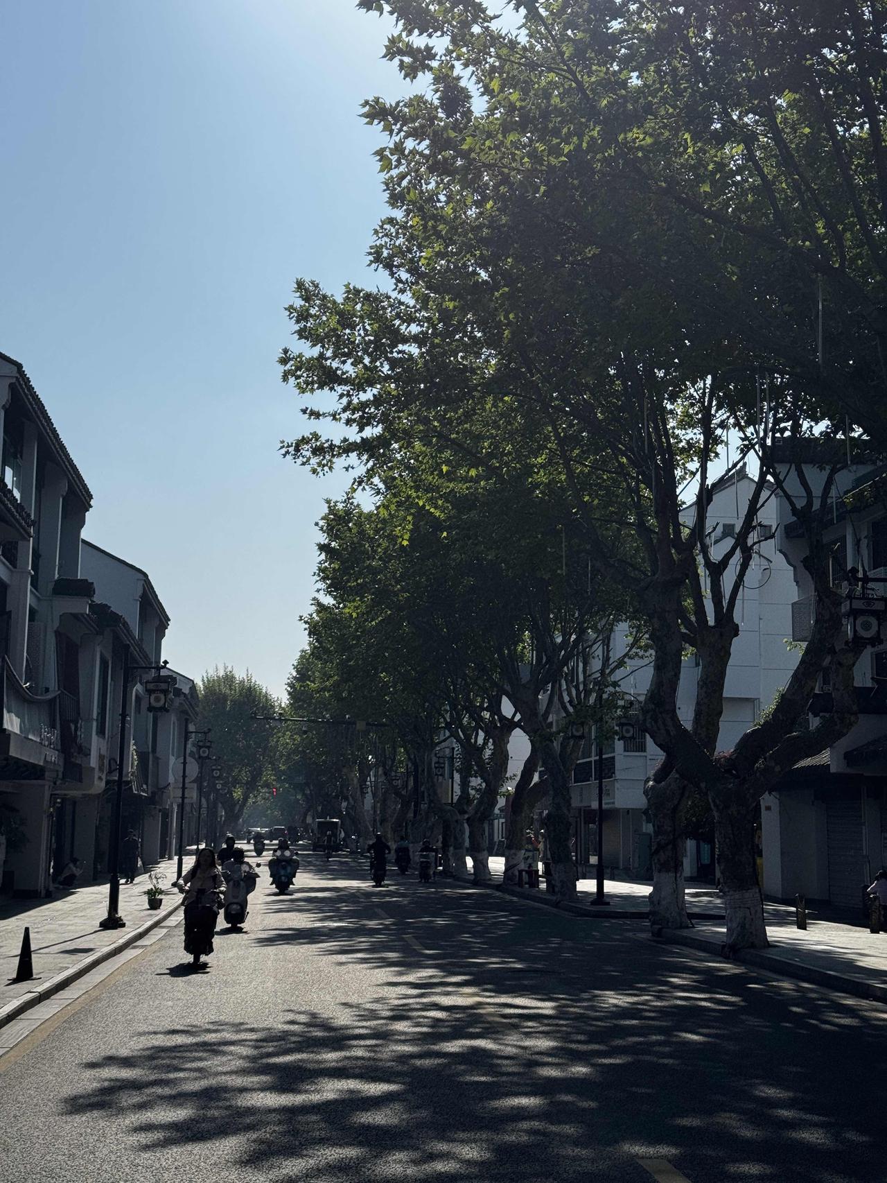 分享您的街拍照早晨的街道，没了昨晚的喧哗。