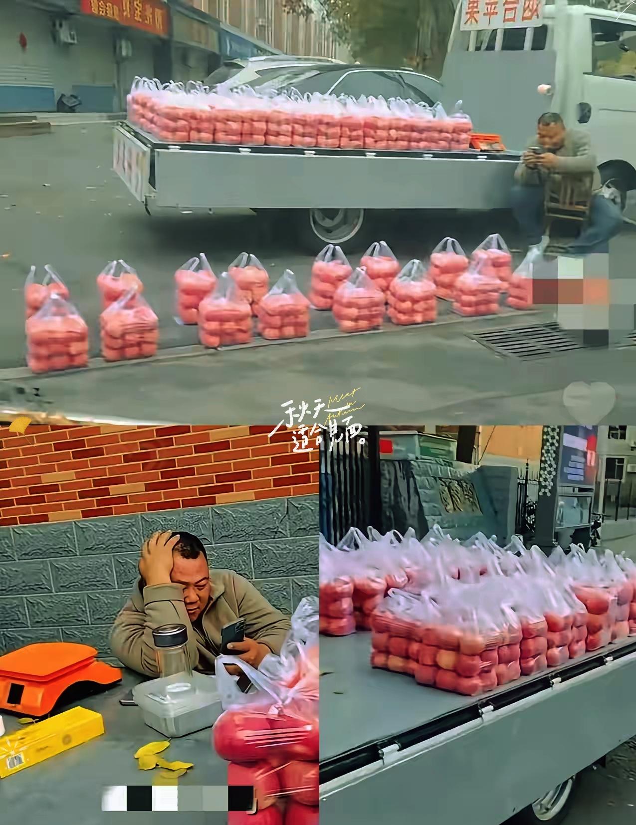 谁能想到，摆个苹果摊也能火到出圈？山东大哥只因苹果摆得整整齐齐，被问是不是当过兵