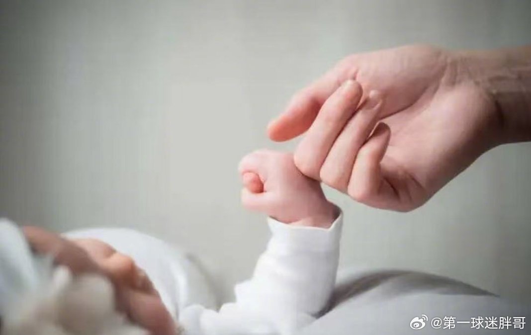 两会观察团代表建议重视一孩生育率 我认为有利于我国提高生育率的举措都应该举双手赞