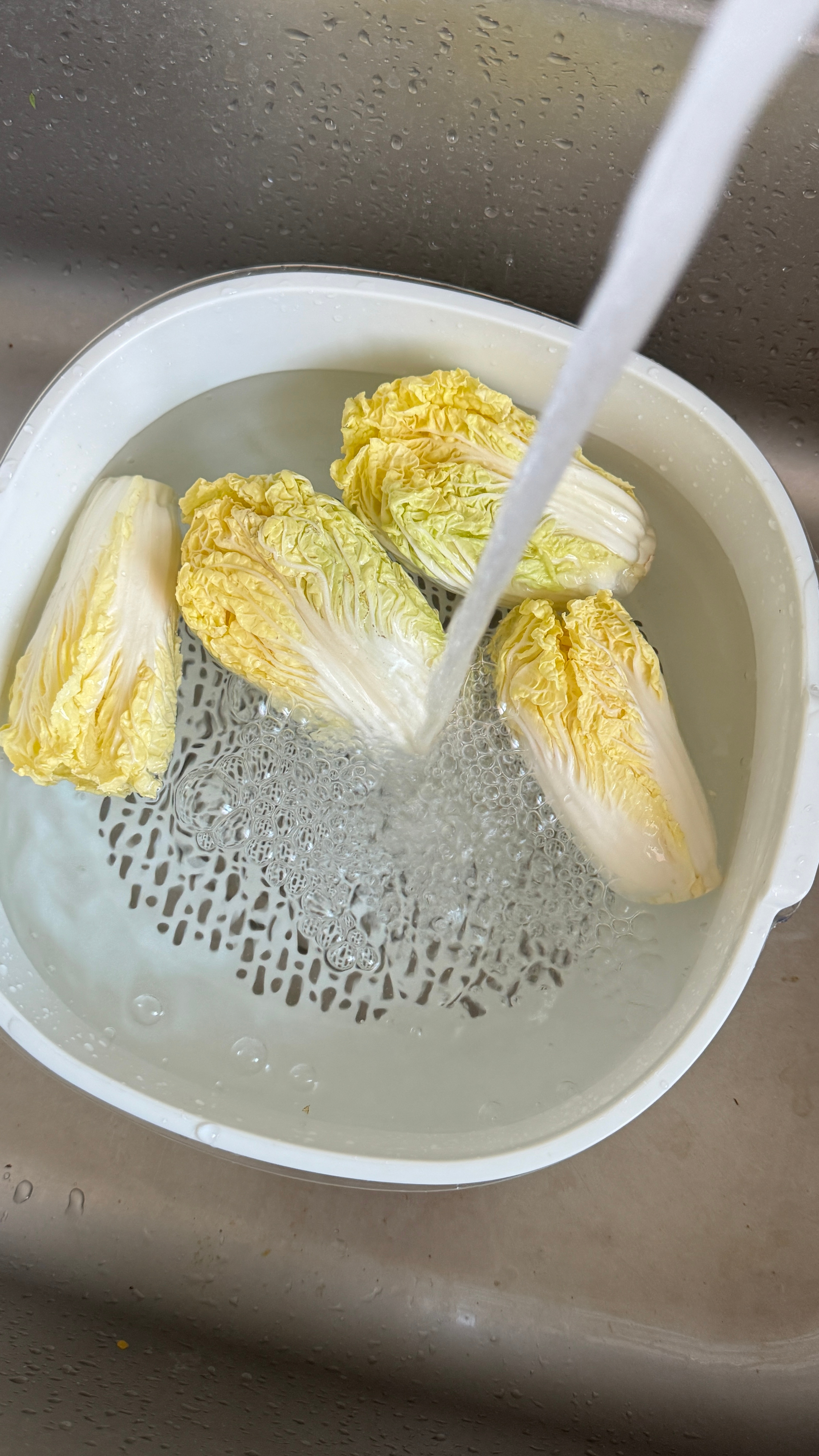 柴柴今天吃什么今日份吃了蒸娃娃菜和鸡肉贝果 然后还有两个鸡肉肠我的日常plog 