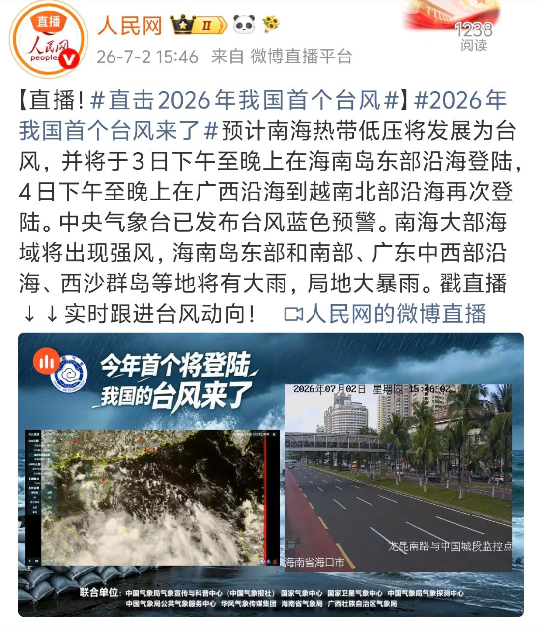 追着鲨
