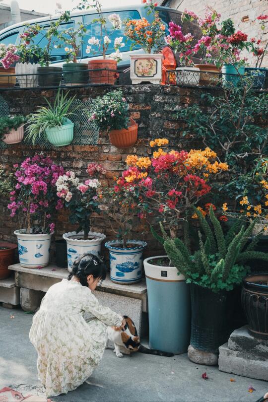 广州有风小院！老社区的烟火气与浪漫💐