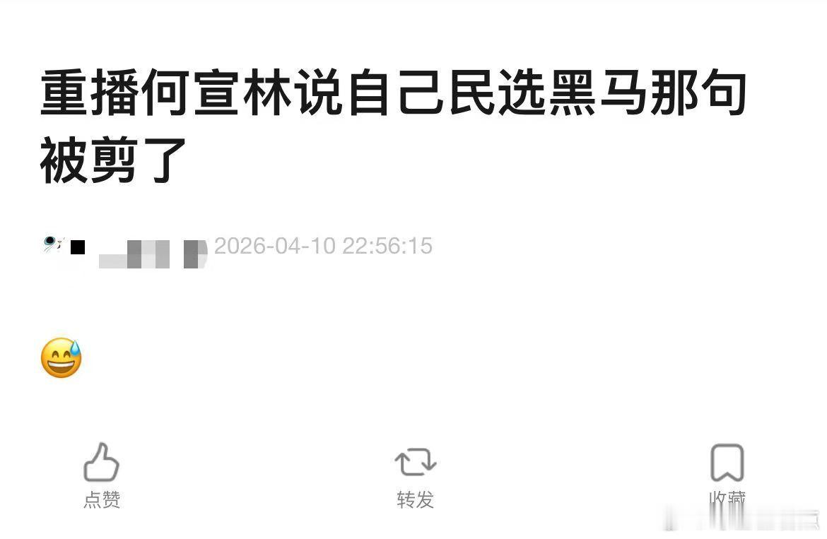 何宣林自我介绍被剪  何宣林自我介绍被剪，在重播的时候说自己是民选黑马，这句话被