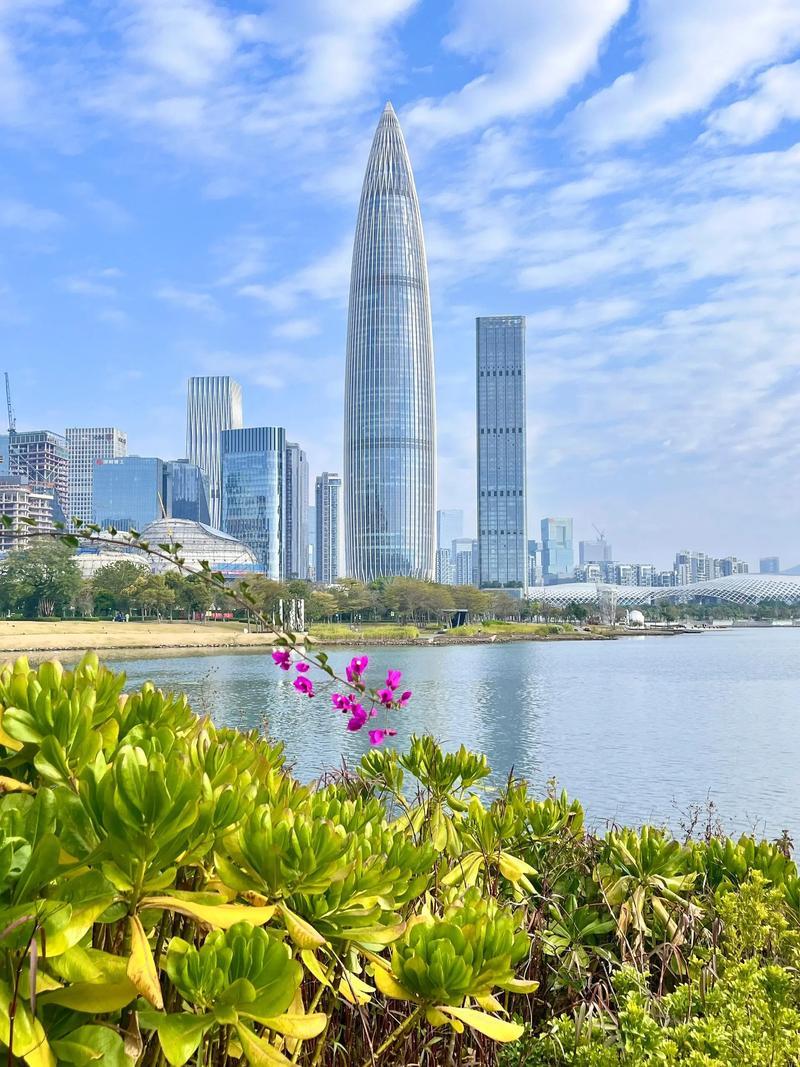 新增院士与上海旗鼓相当，深圳不再是“文化沙漠”
谁能想到在2025年国内院士增选