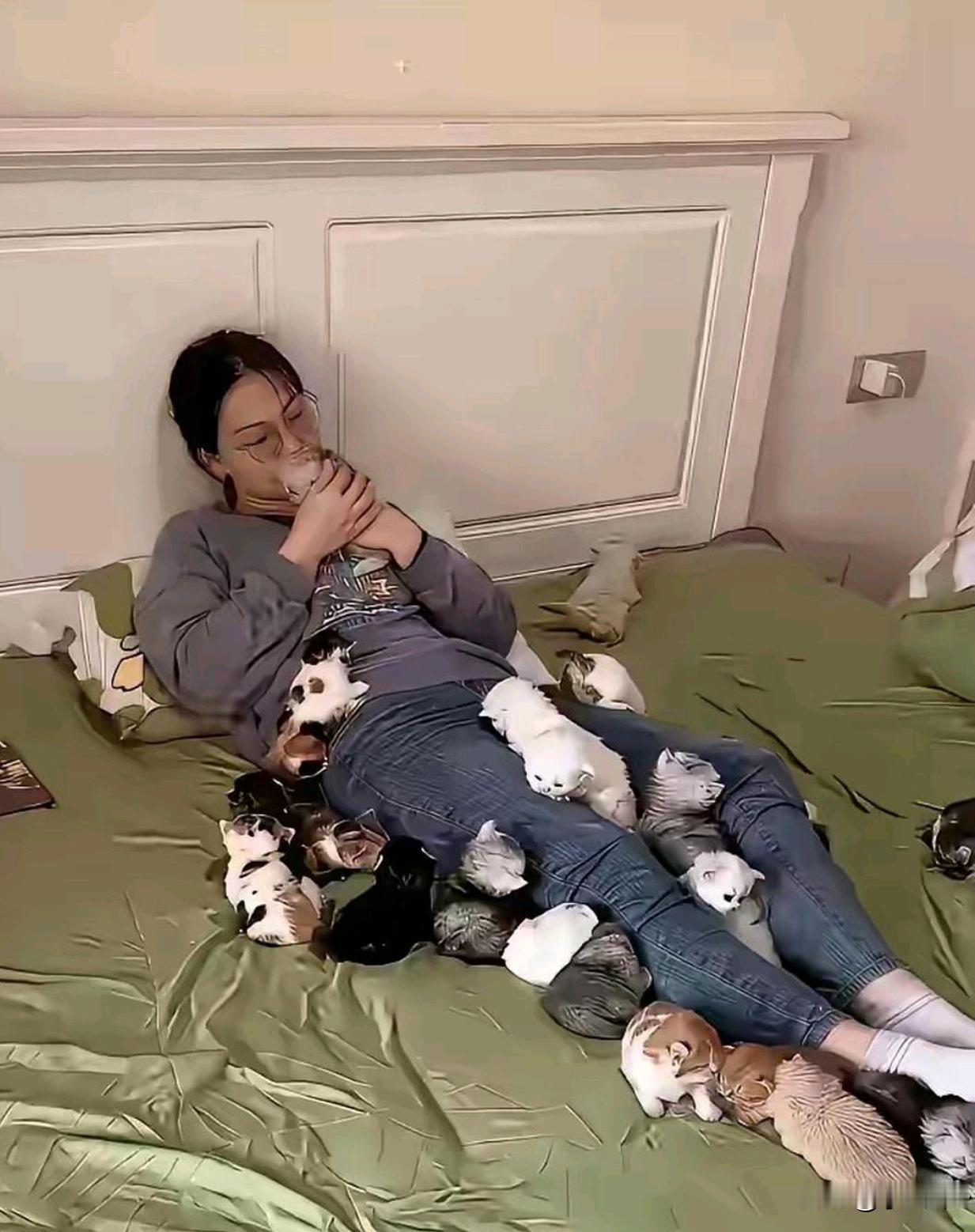 养这么多猫仔，房间真的会臭吗？