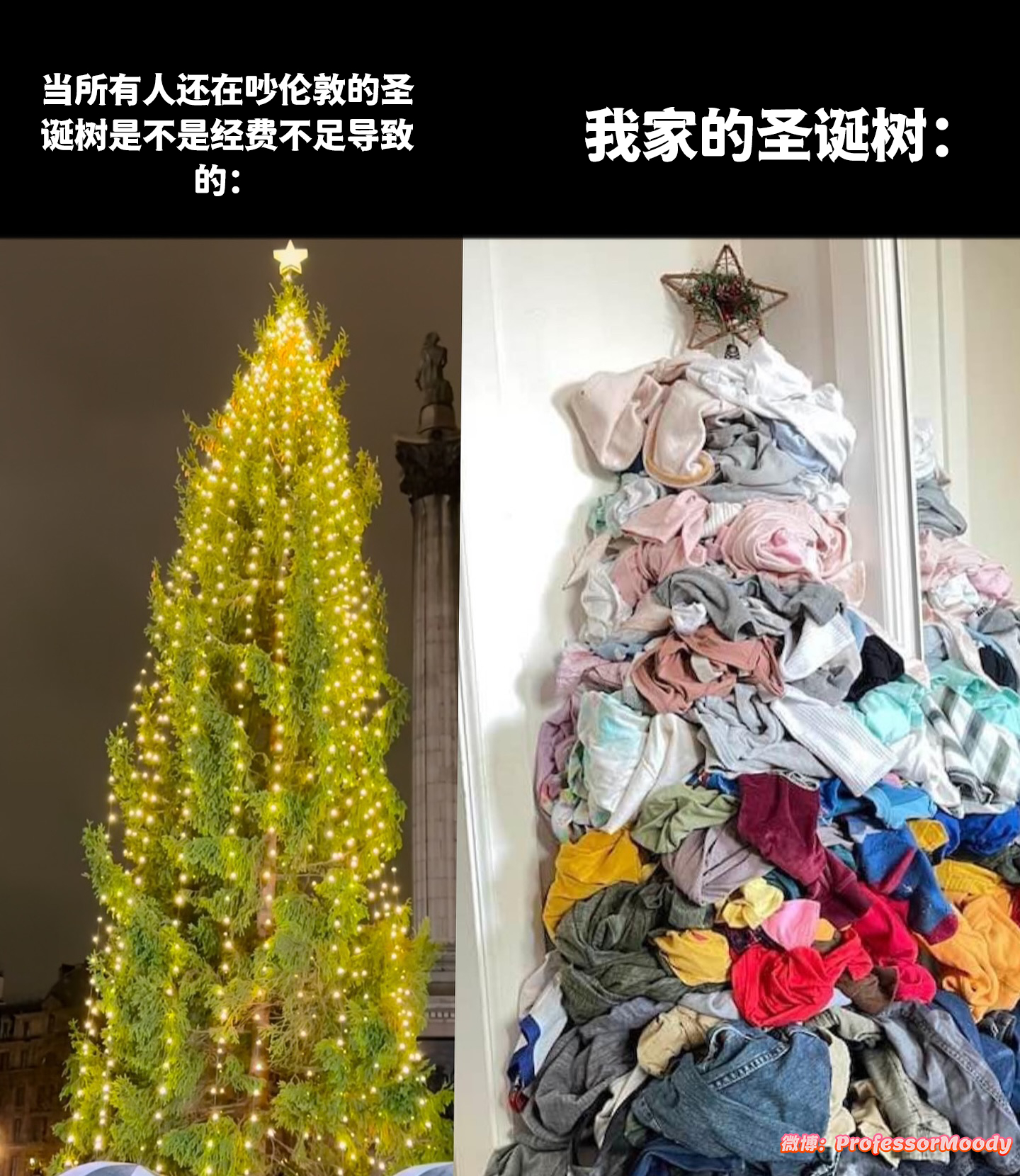 我家也有诶 