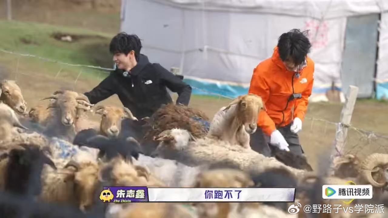 朱志鑫张极又是你俩朱志鑫张极撒娇一路向海的少年 动物的行动完全跟随本能不受人为左
