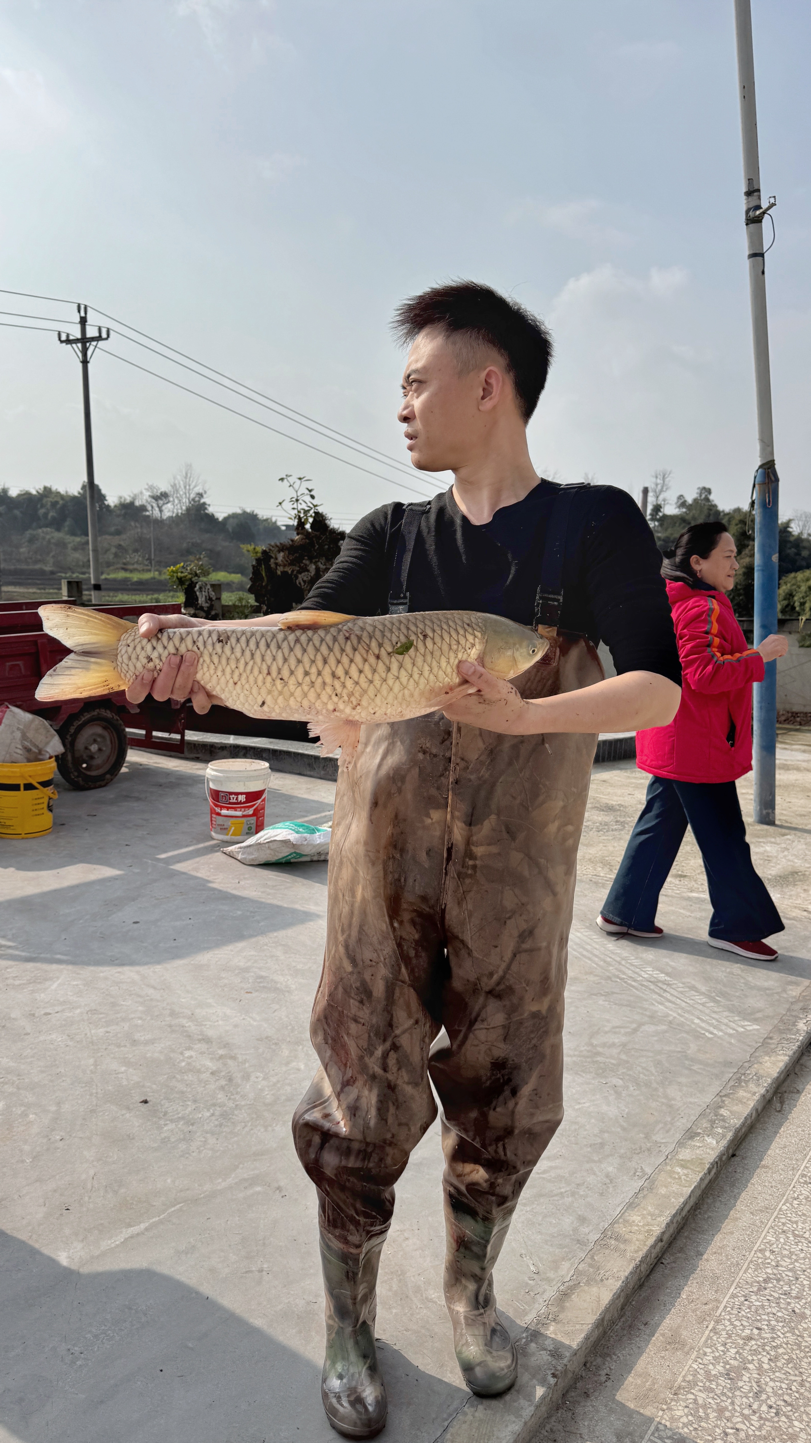 这就是最真实的泸县乡下生活！年初的油菜花开得晃眼，村里的大妈在地里一把一把掐软雀