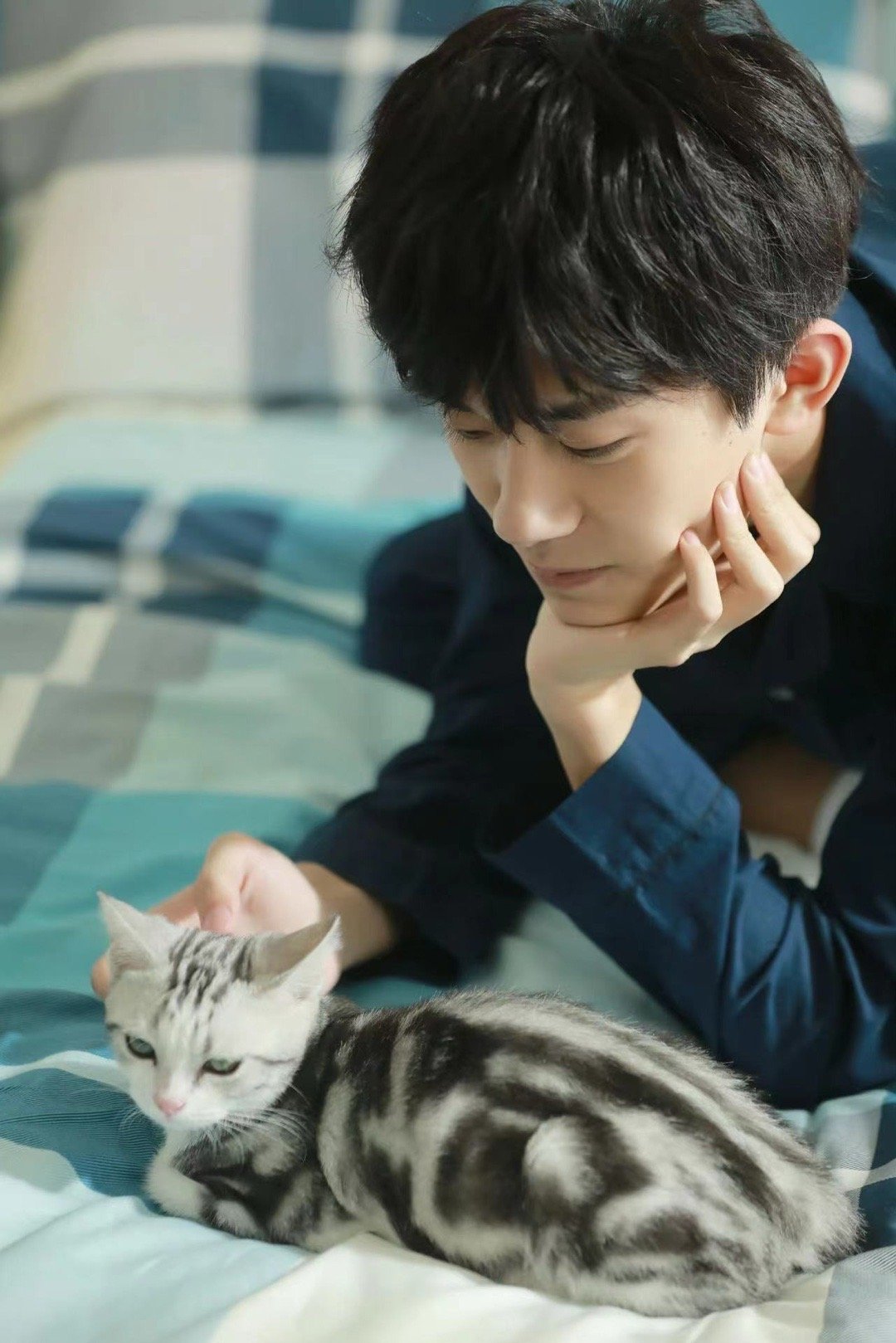 #粉丝偷易烊千玺的猫参加比赛#猫咪届的比赛越来越卷了啊，最近一场猫王大赛，一天就