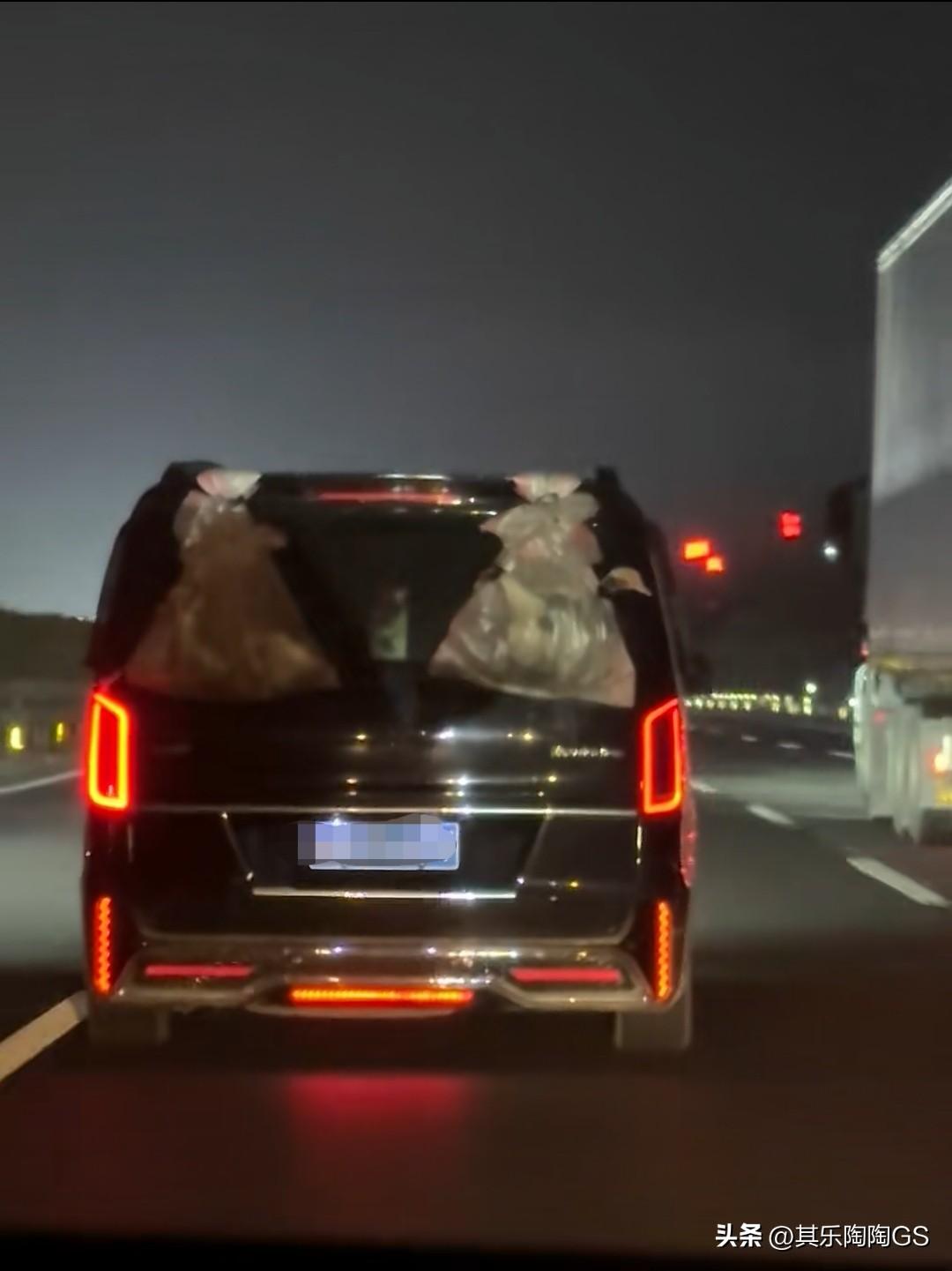 一只鸭头，你看到了吗？另一个袋子是什么头？