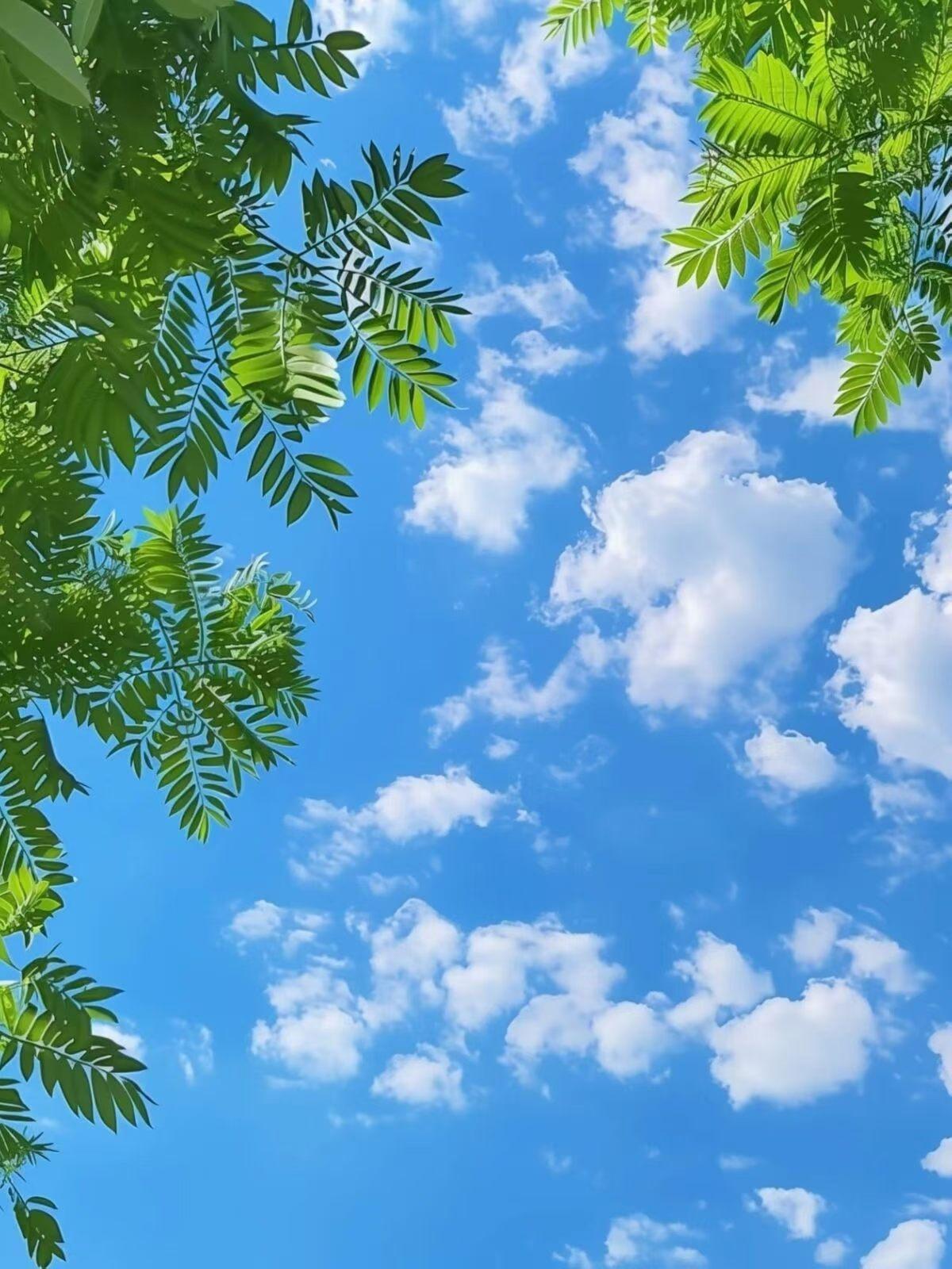 干掉你的六种方式:
1.因果干掉你这叫天道
2.不听话干掉你这叫王道
3.听话也