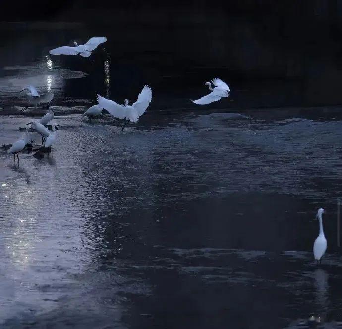 所有的玩笑里，都藏着认真的话，而那些看似没有听懂的回应，大概就是再委婉不过的拒绝