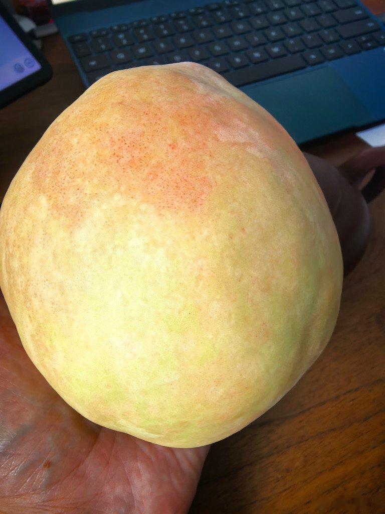 同学家自己种的大桃，太大了 ​​​